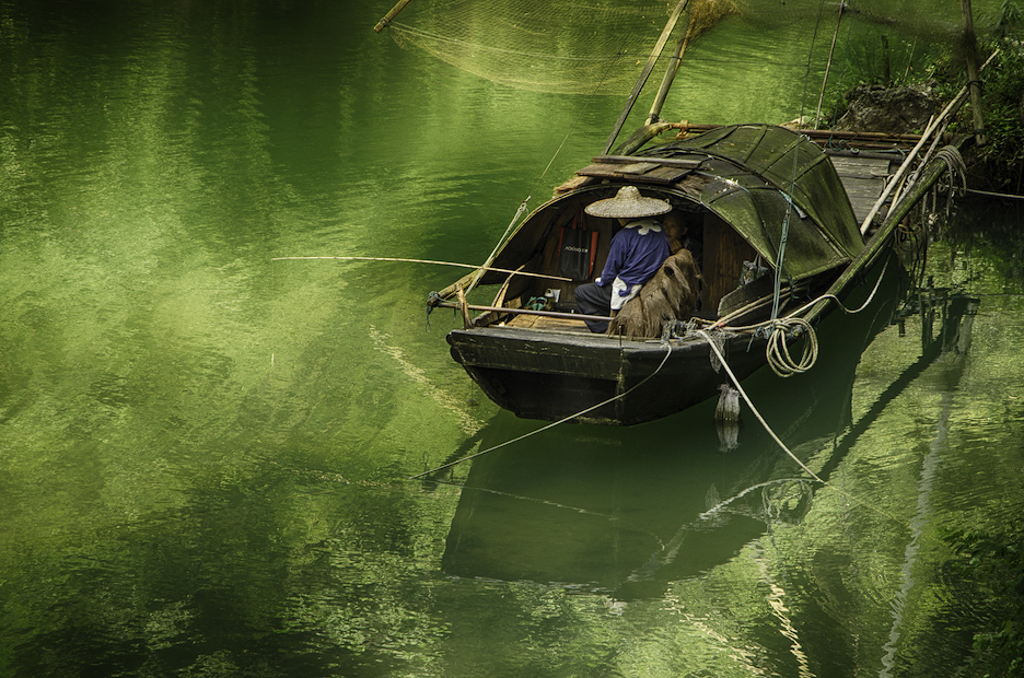 Sandra Lapham: Fishing the Emerald River