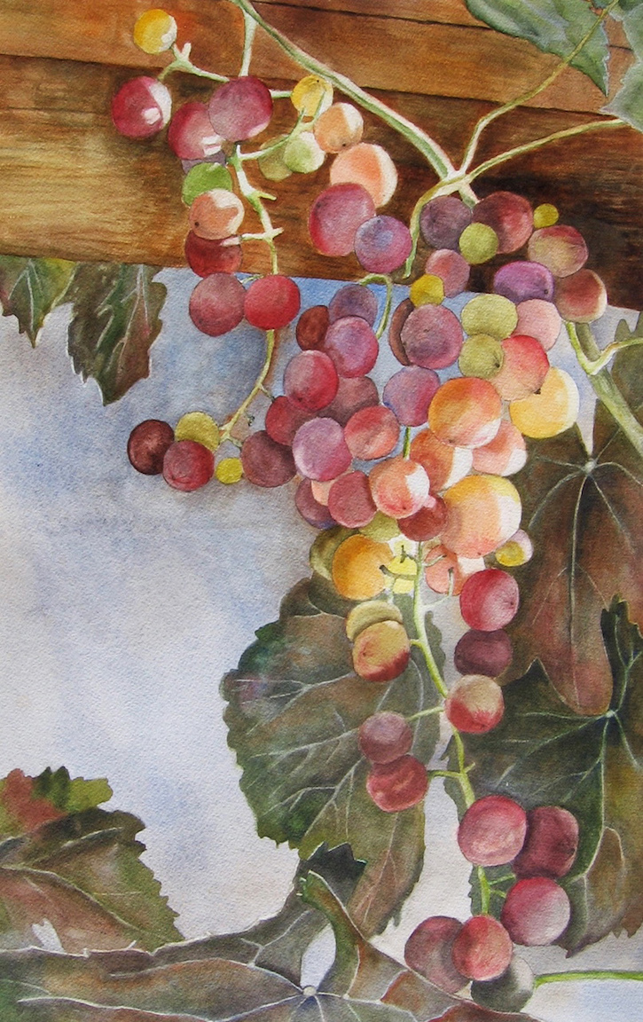 Janet Pfeiffer: Fruit of the Vine