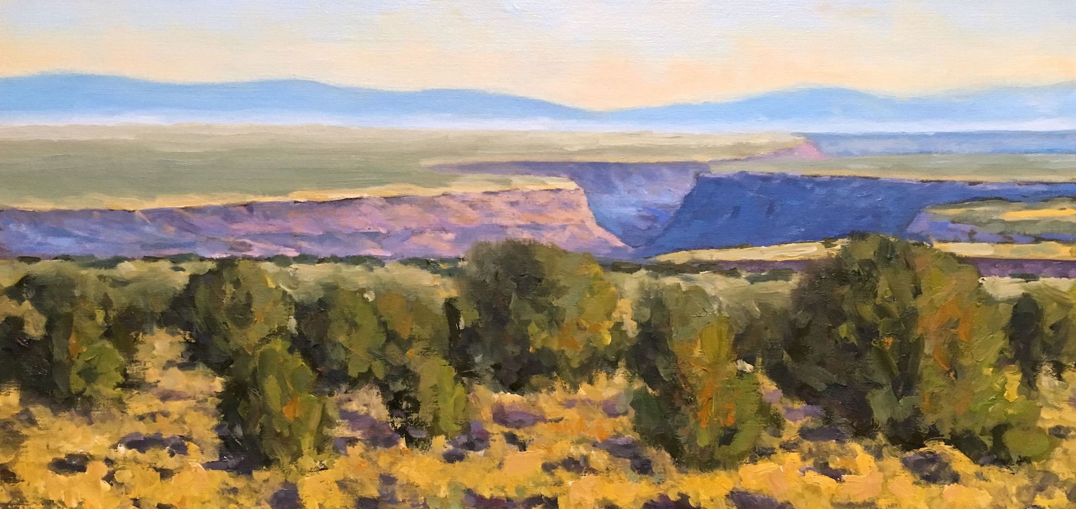 Chris Miller: Rio Grande Gorge Near Taos