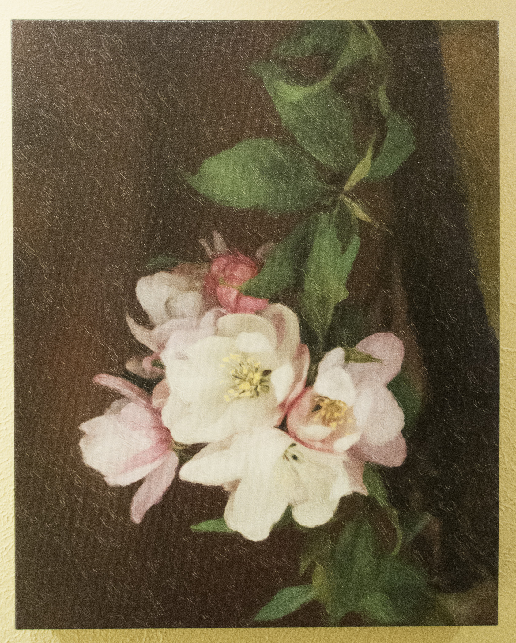 Sandra Lapham: Cherry Blossoms of Spring