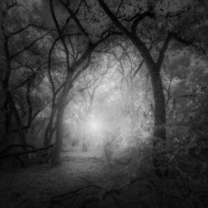 PHOTO BY JOHN A SIMMONS
