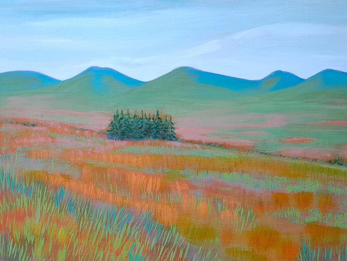 Field Boundary