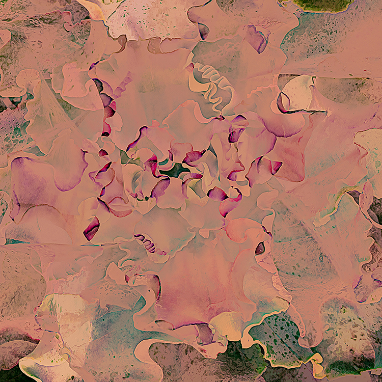 Floral Compression #3