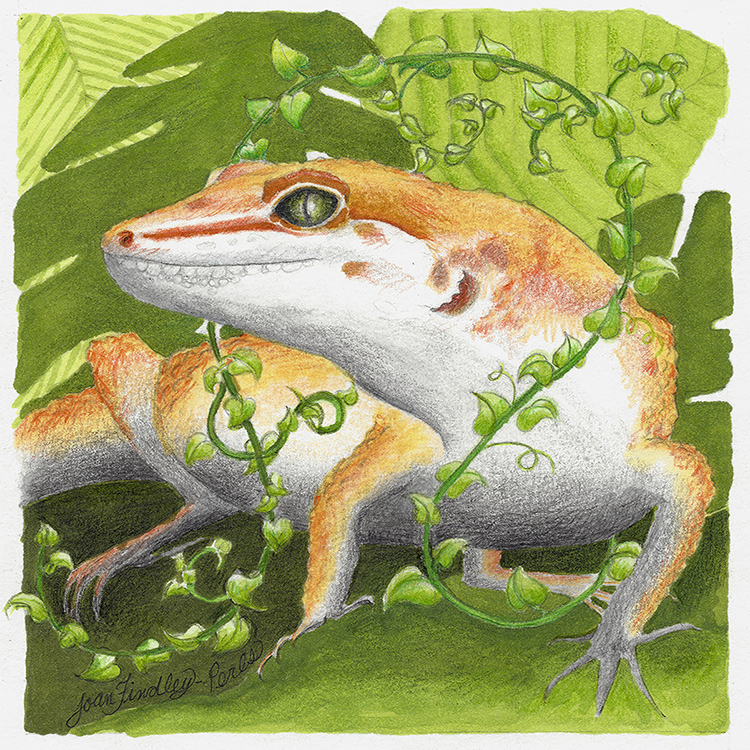 Groovy in Green, for web