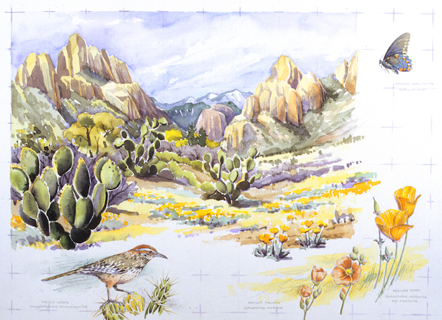 Chiricahua Spring, David Welch