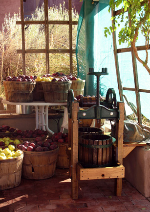 Joan Fenicle: Manzanas de Placitas