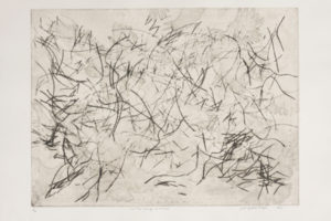 Janet Shagam, On the Wings of a Dove