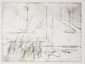Janet Shagam, Bosque 2