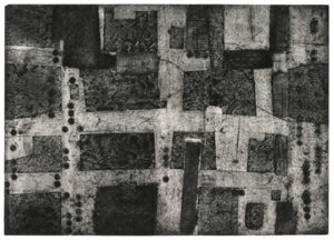 Janet Shagam, An Unintended Journey