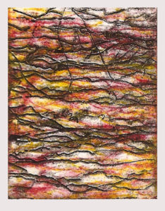 Janet Shagam, Turbulence