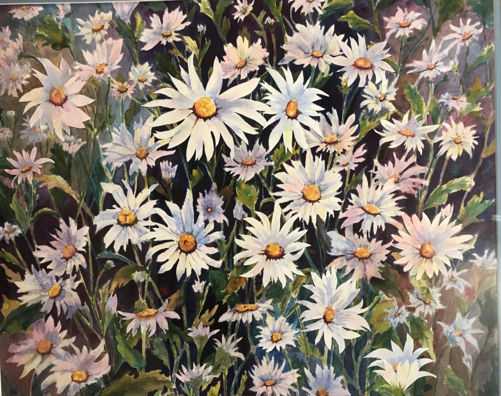 Kay Richards: Daisies Galore