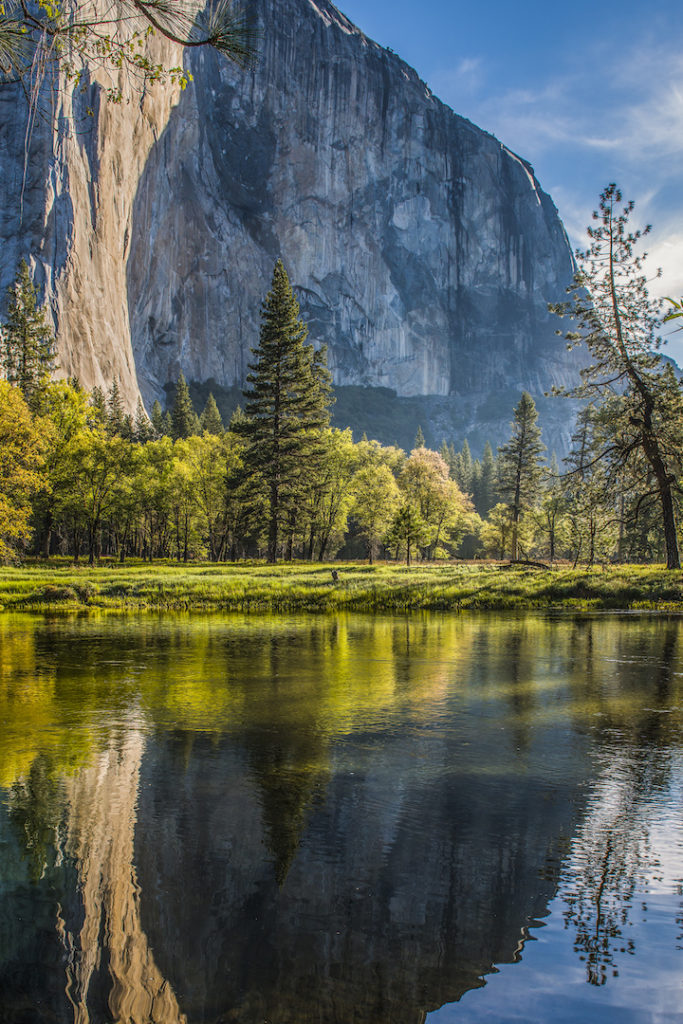 Stan Ford: El Capitan Reflection