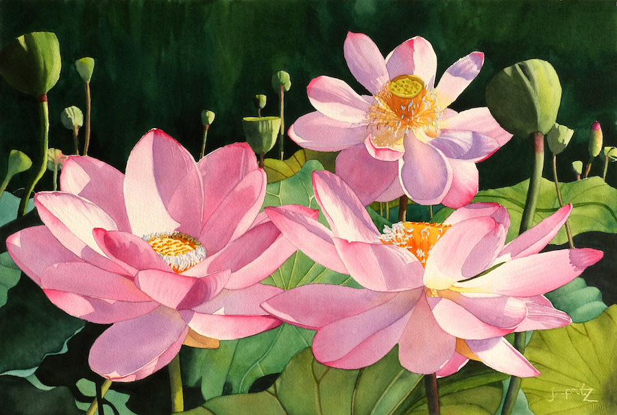 Jane Fritz: Lotus