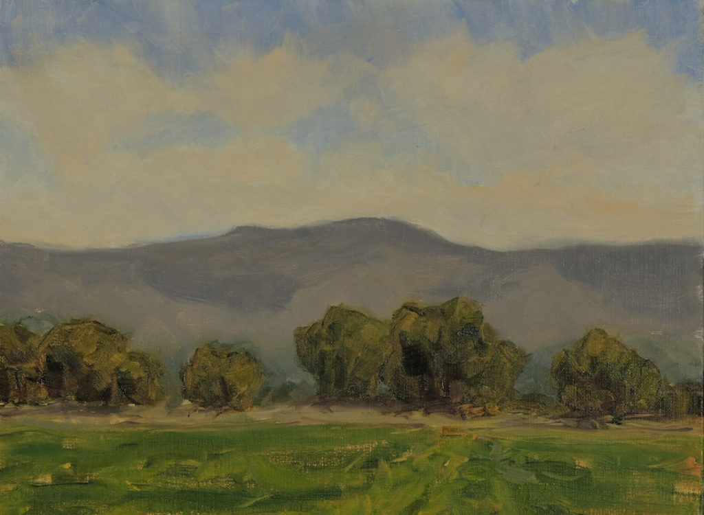 Diana Stauffer: Down In the Valley