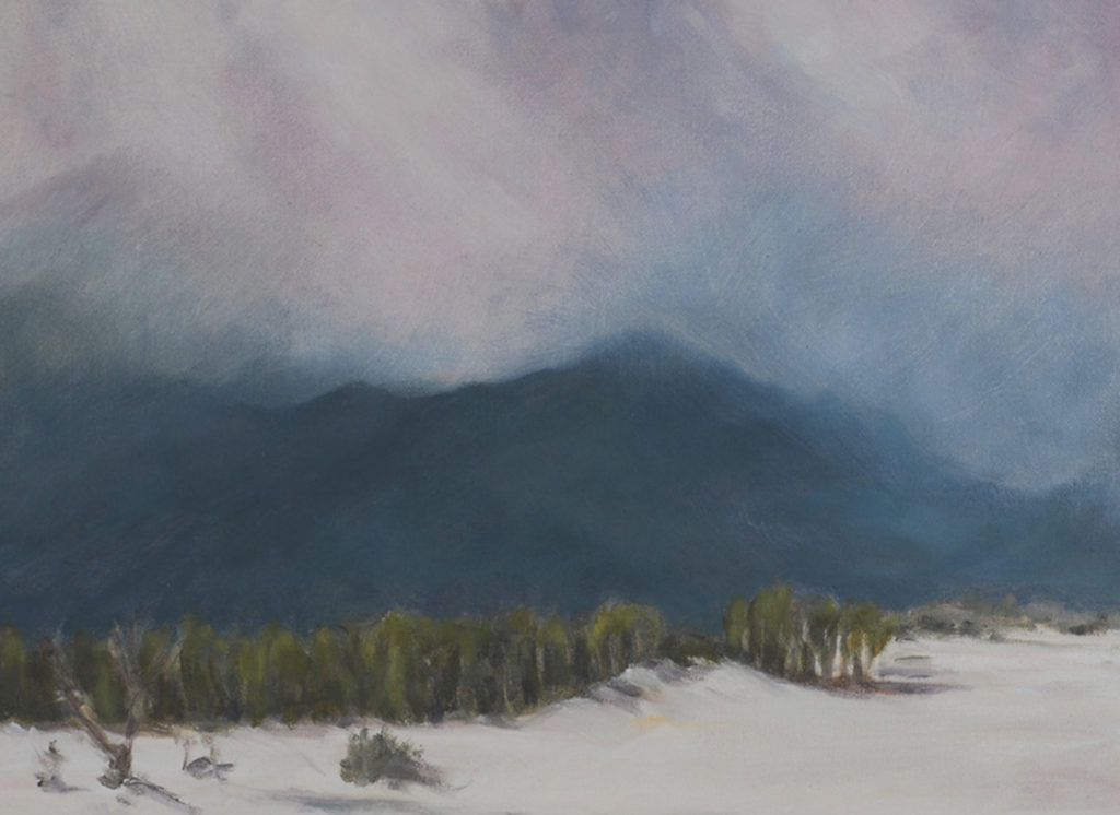 Diana Stauffer: Snow Squall