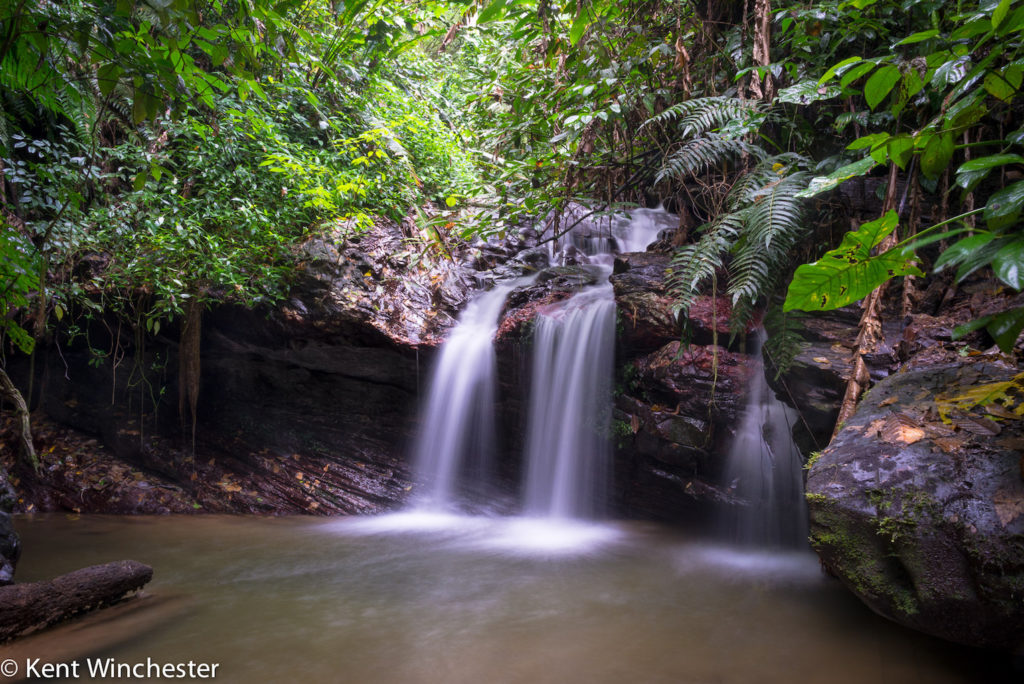 Kent Winchester: Trinidad Falls