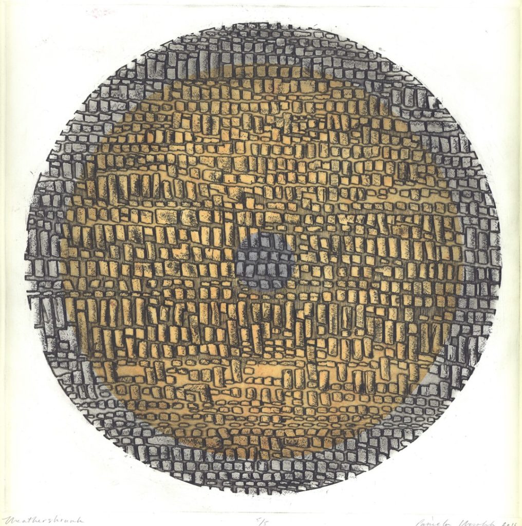 Pamela Wesolek: Weathershrunk