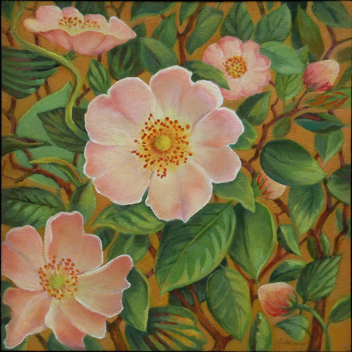 Carol L. Adamec: New Mexico Wild Roses