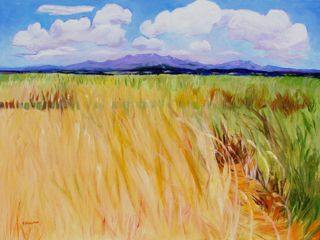 Sandra Humphries: Afternoon Clouds