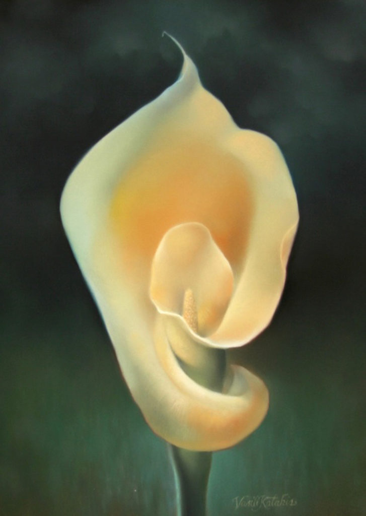 Vasili Katakis: Albomaculata