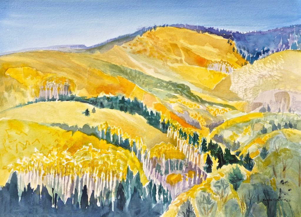 Sandra Humphries: Aspen Symphony
