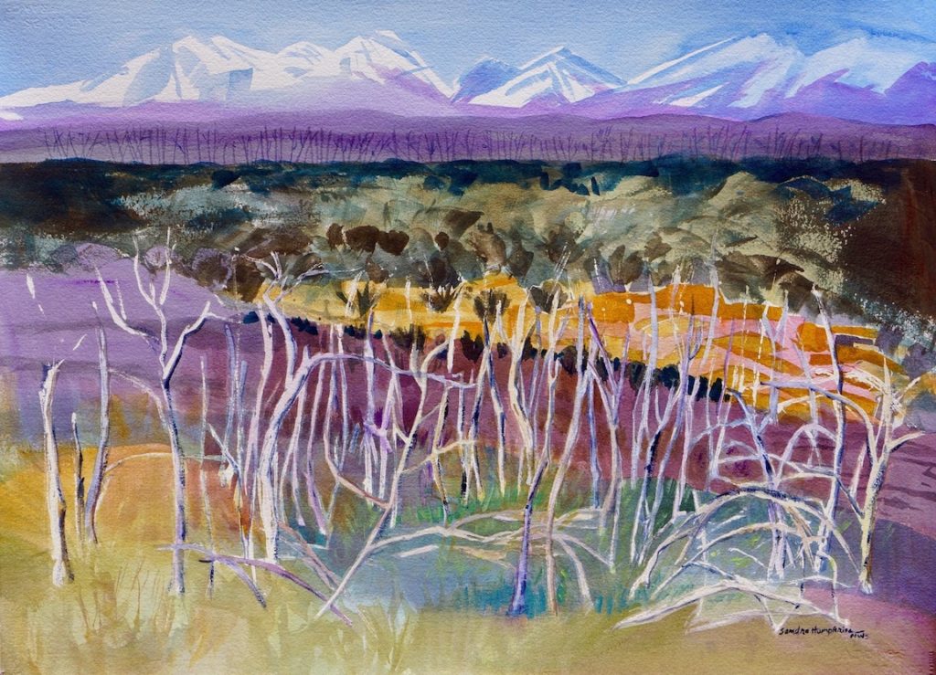 Sandra Humphries: Mesa Verde Firescape