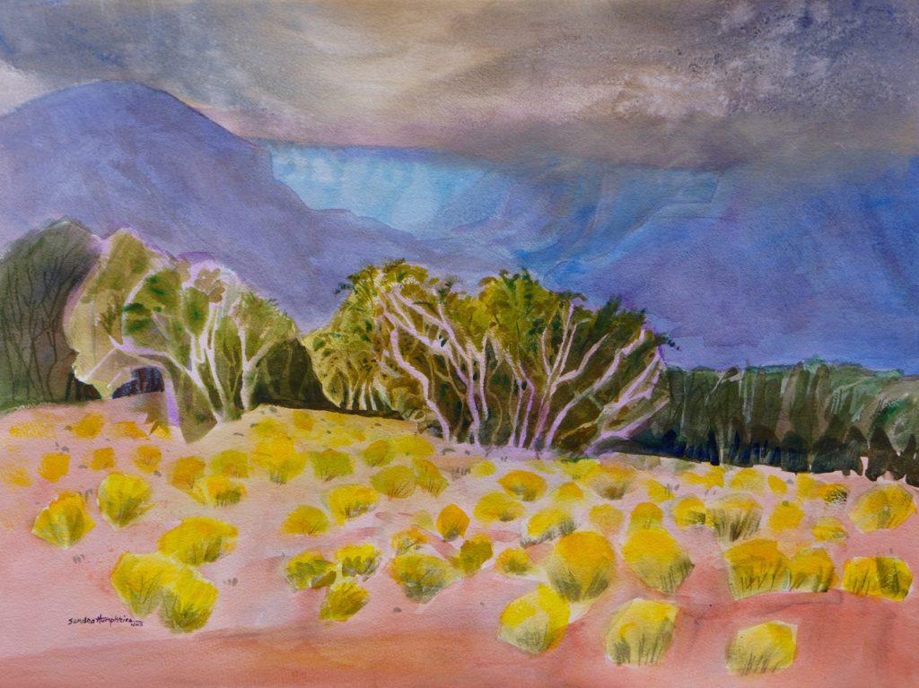 Sandra Humphries: Mesquite and Snakeweed