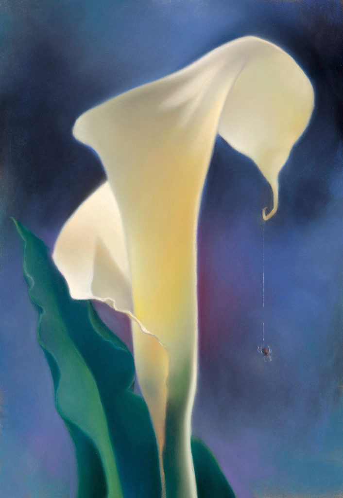 Vasili Katakis: Odorata