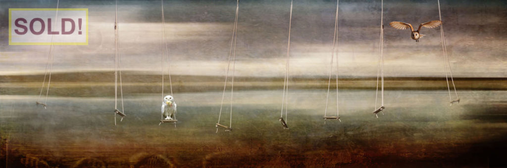 Carol Mell: Playground with Owls