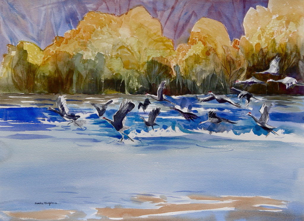Sandra Humphries: Splash Landing