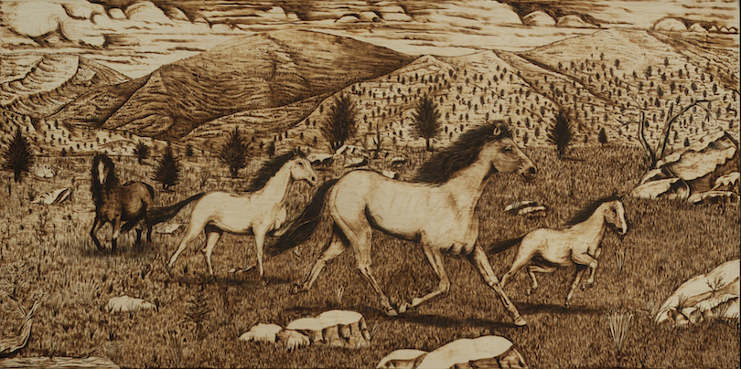 Kevin Castillo: Wild Horses