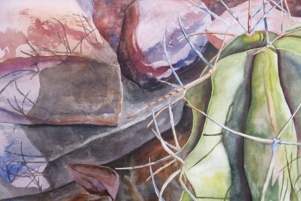 Janet Pfeiffer: A Spiny Situation