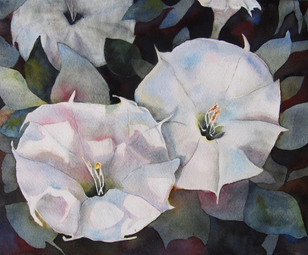 Janet Pfeiffer: Angel Trumpets