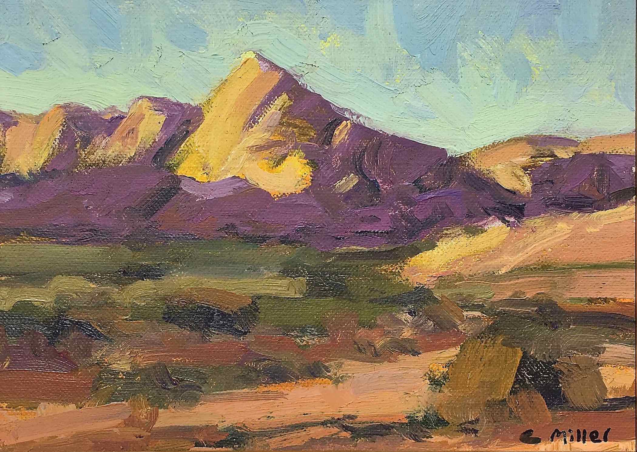 Chris Miller: Arizona Landscape