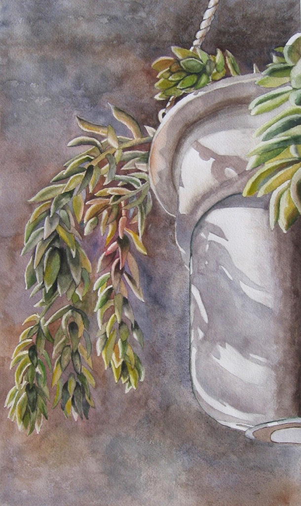 Janet Pfeiffer: Burro’s Tail