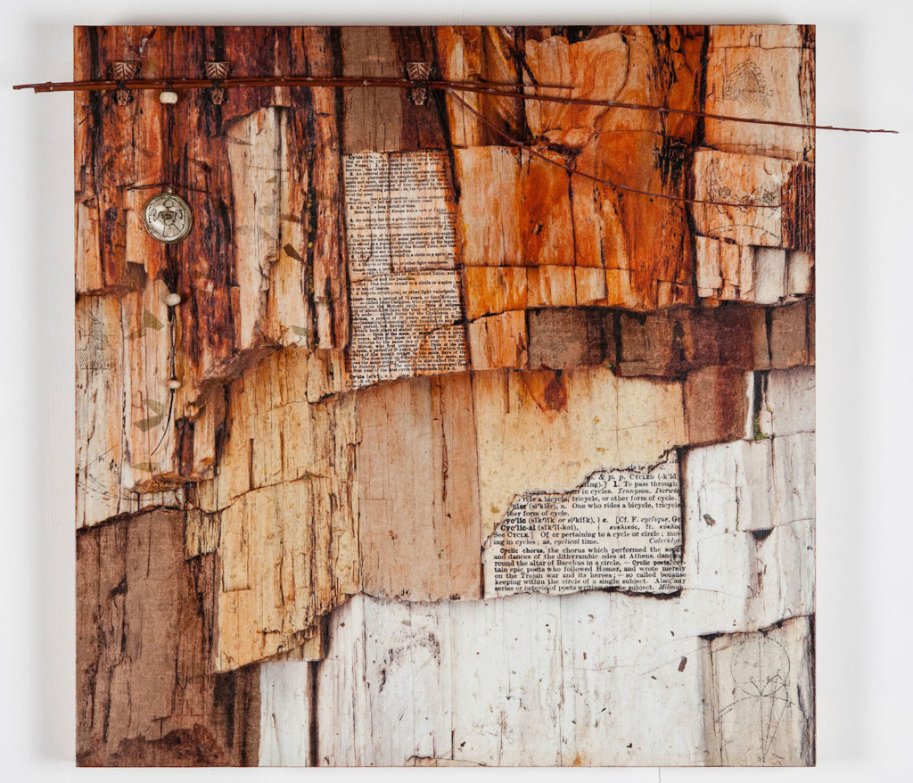 Chris Meyer: Imaginary Chorus