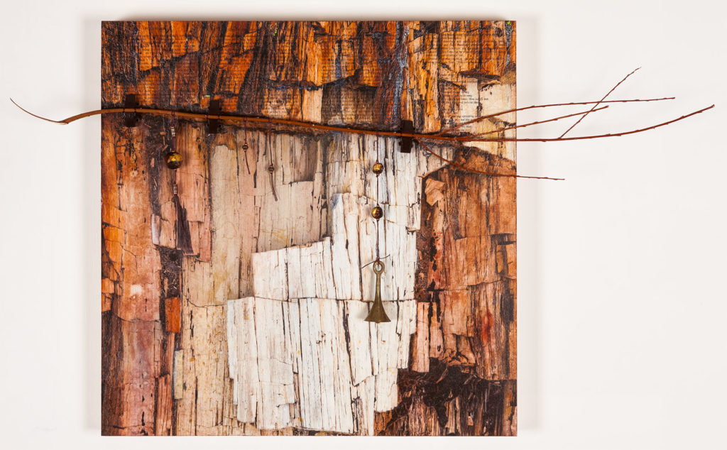 Chris Meyer: The Shanti Tree