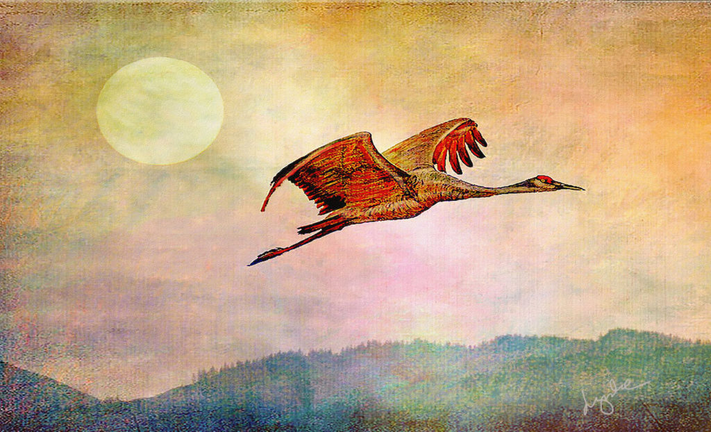 Lyndia Radice: Crane and Sun