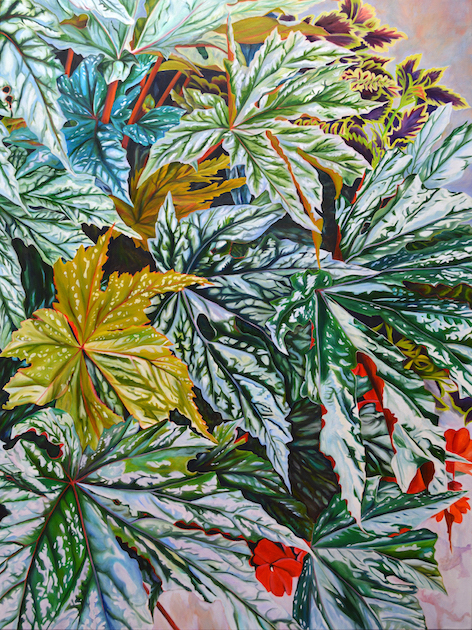 Sarah Hartshorne: Leaves ’N Things