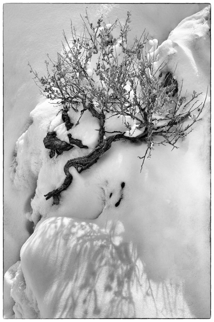 Sandra Lapham: Light&#039;s Trace