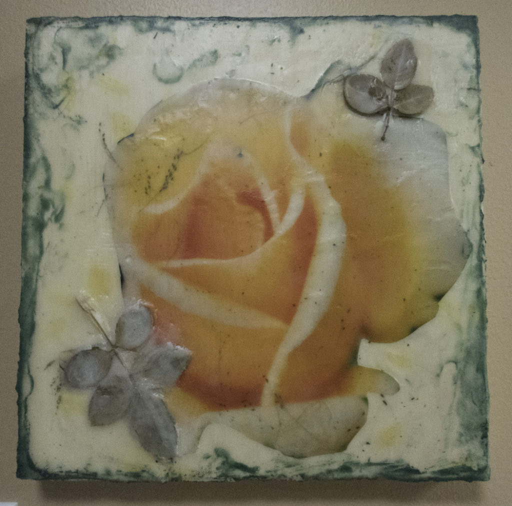 Sandra Lapham: Peachy Rose