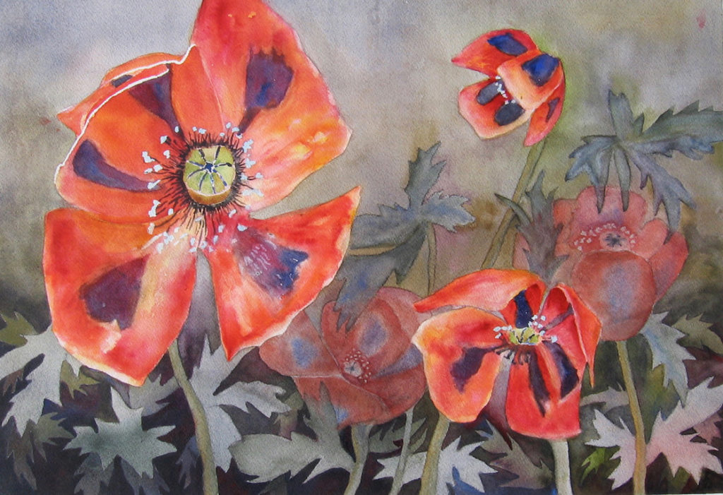 Janet Pfeiffer: Poppies