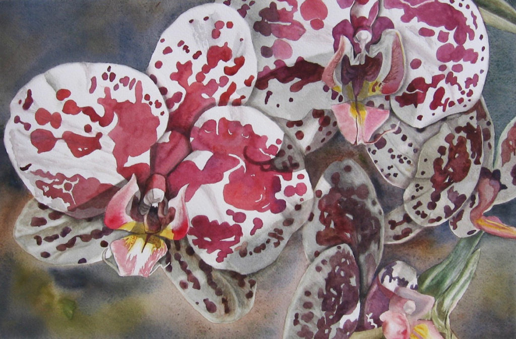 Janet Pfeiffer: Rorschach Test