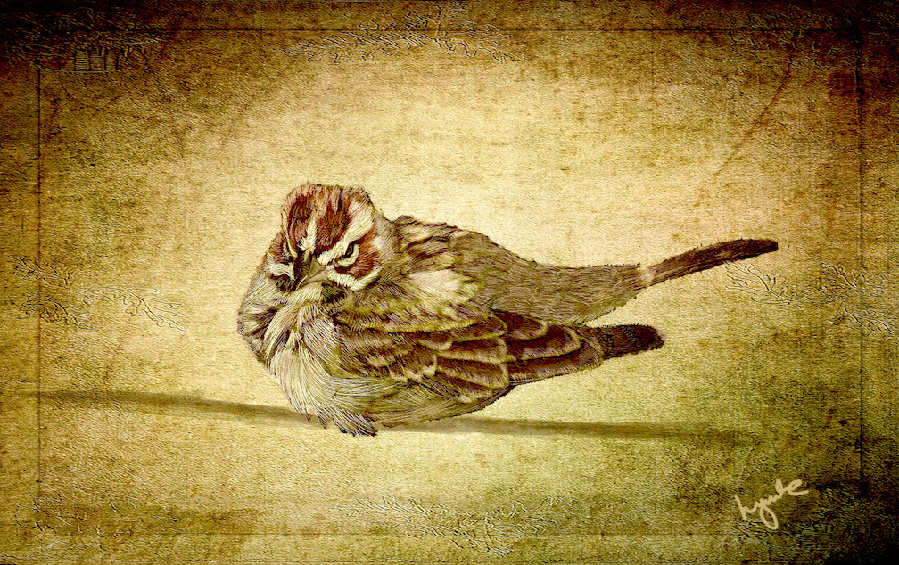 Lyndia Radice: Sepia Sparrow