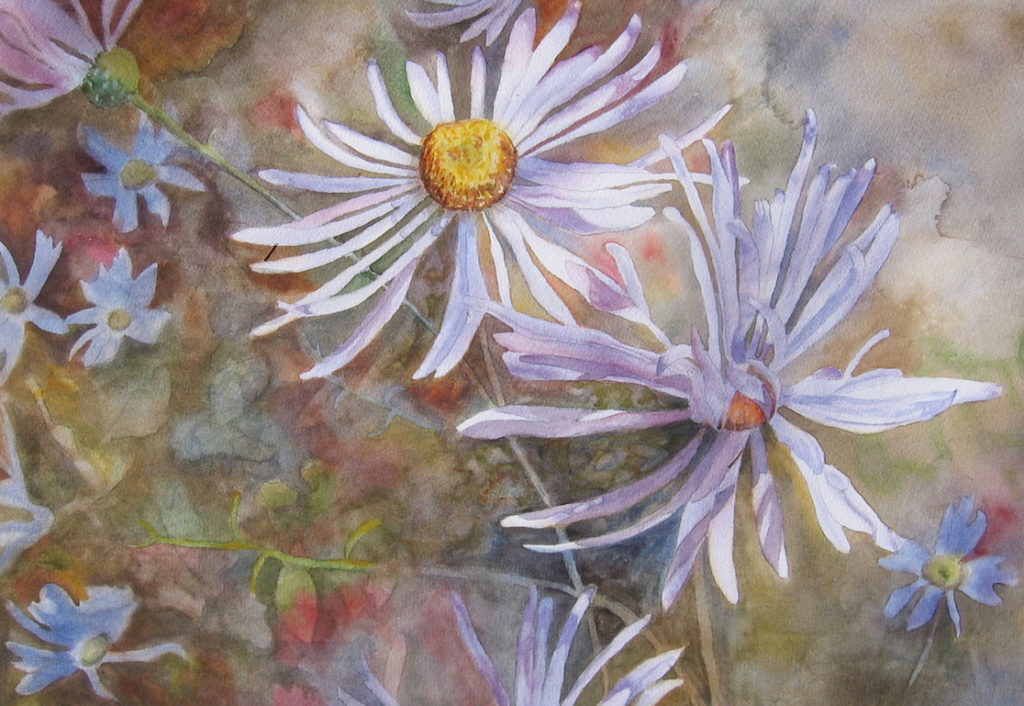 Janet Pfeiffer: Wild Asters