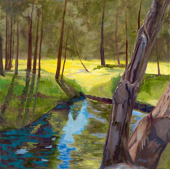 Barbara Barrett: Little Rio Grande Creek at Ft. Burgwin