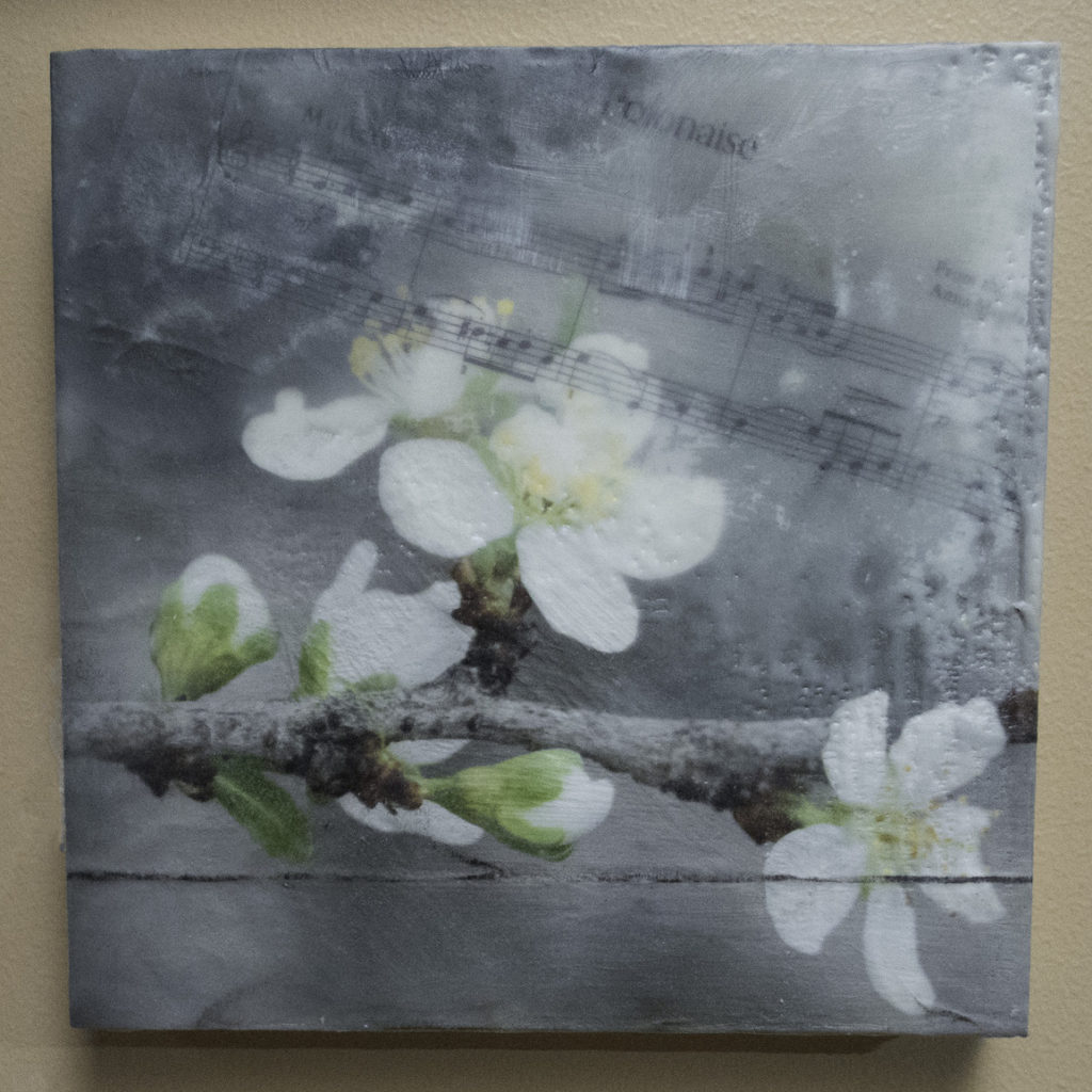 Sandra Lapham: Song of the Cherry Blossom
