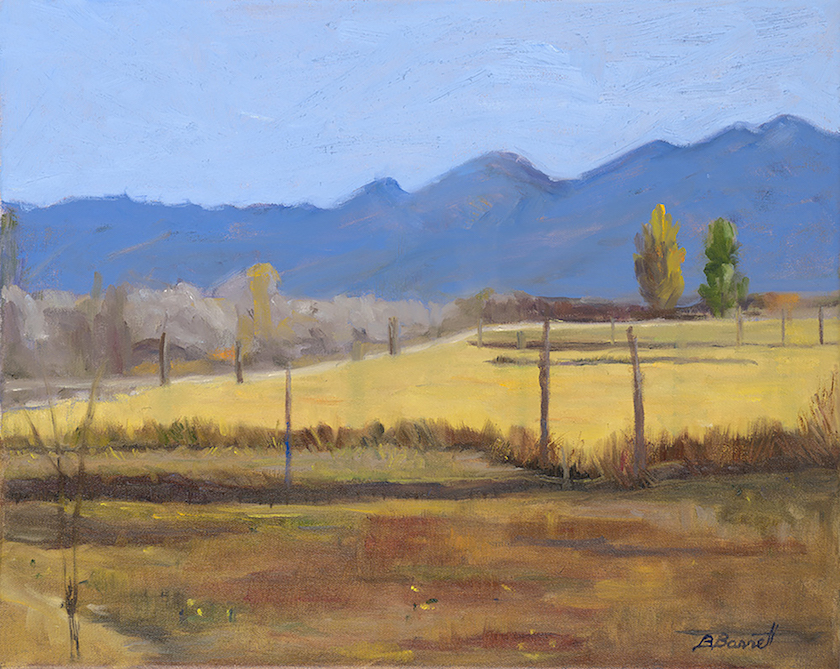 Barbara Barrett: View from Ranchos de Taos
