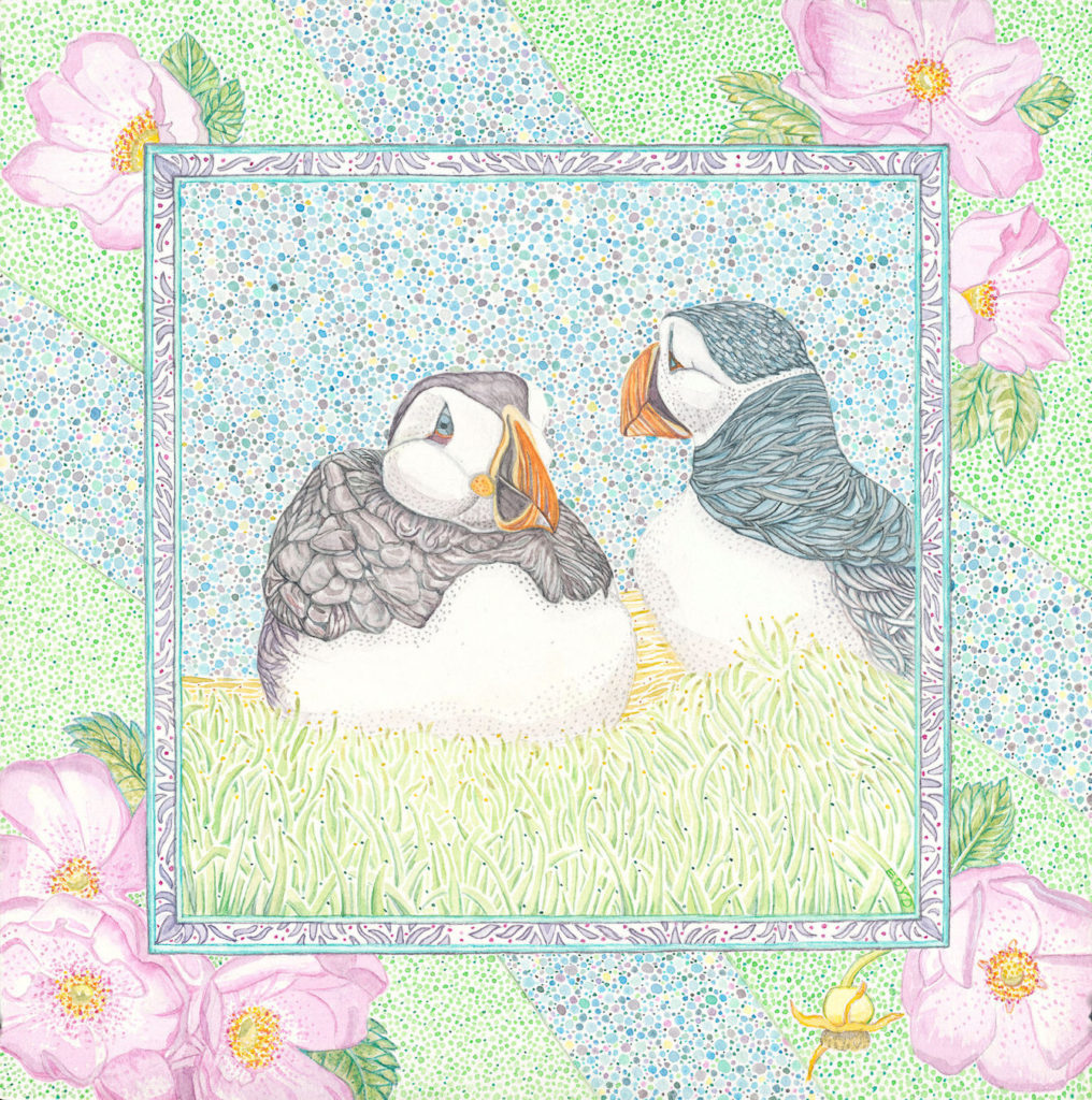 Judy Boyd: Atlantic Puffins