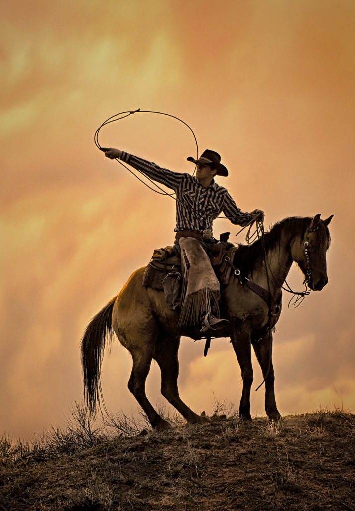 ally Thomson: Cowboy Dreams